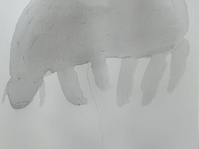 Těžký život skutečné bytosti s nafouknutou